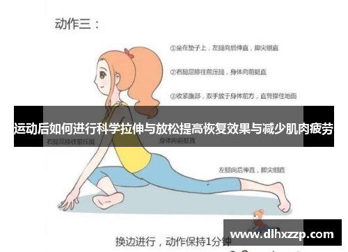 运动后如何进行科学拉伸与放松提高恢复效果与减少肌肉疲劳
